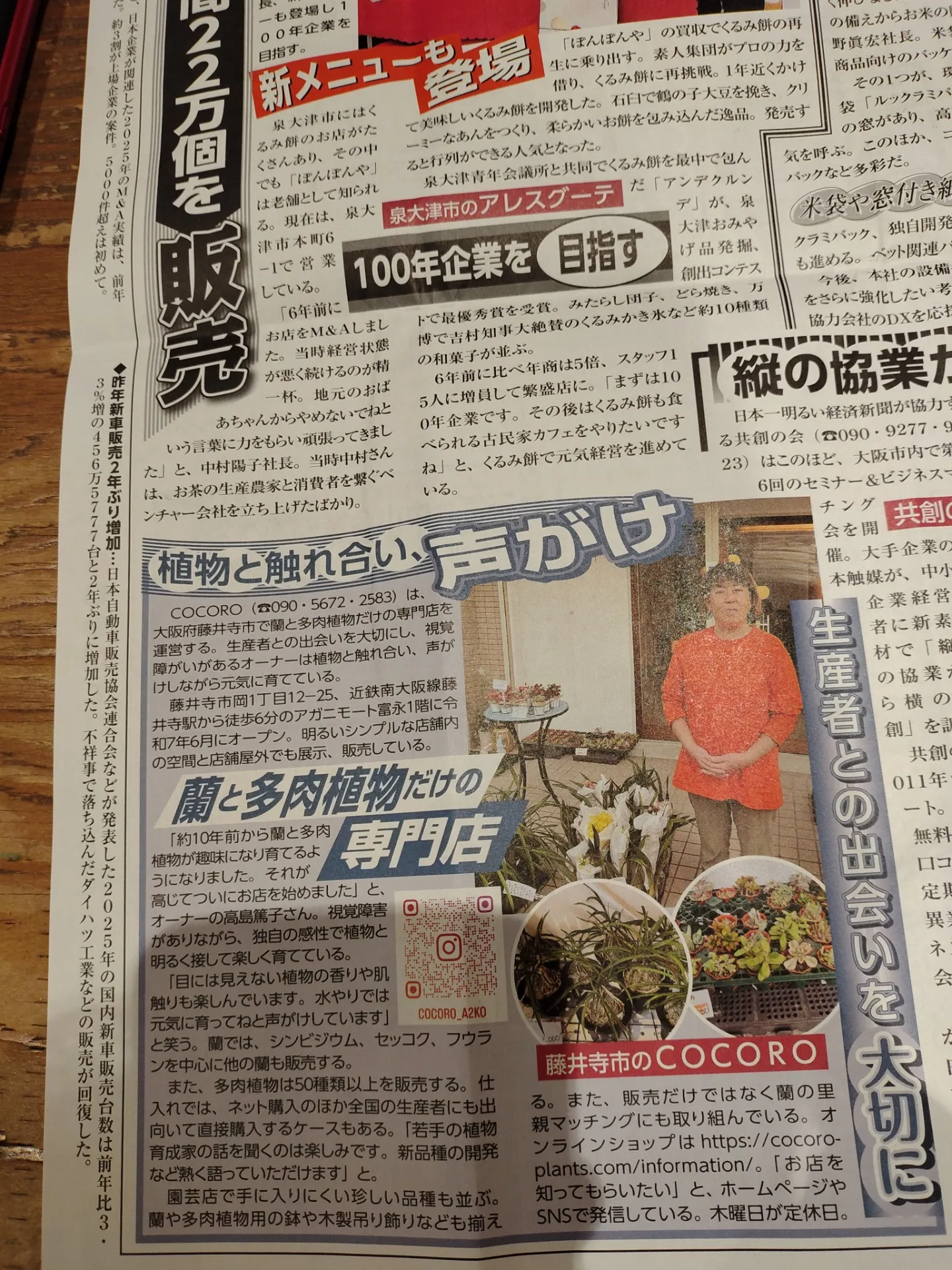 藤井寺で蘭と多肉植物を楽しむ暮らしを | 日本一明るい経済新聞に掲載されました