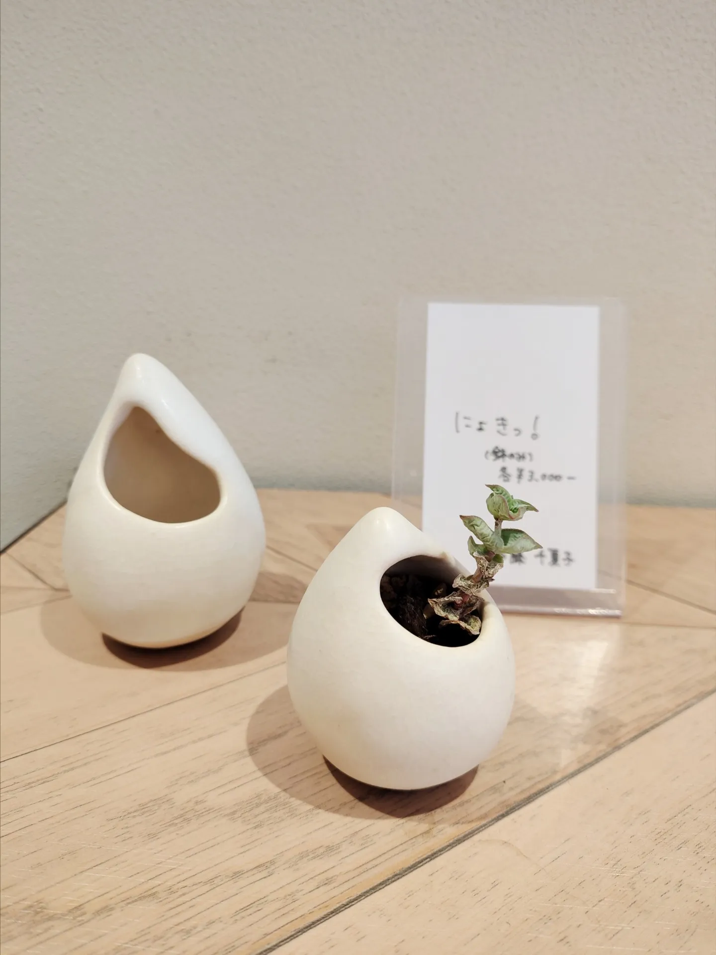 多肉植物を植え込んだ作品 展示中