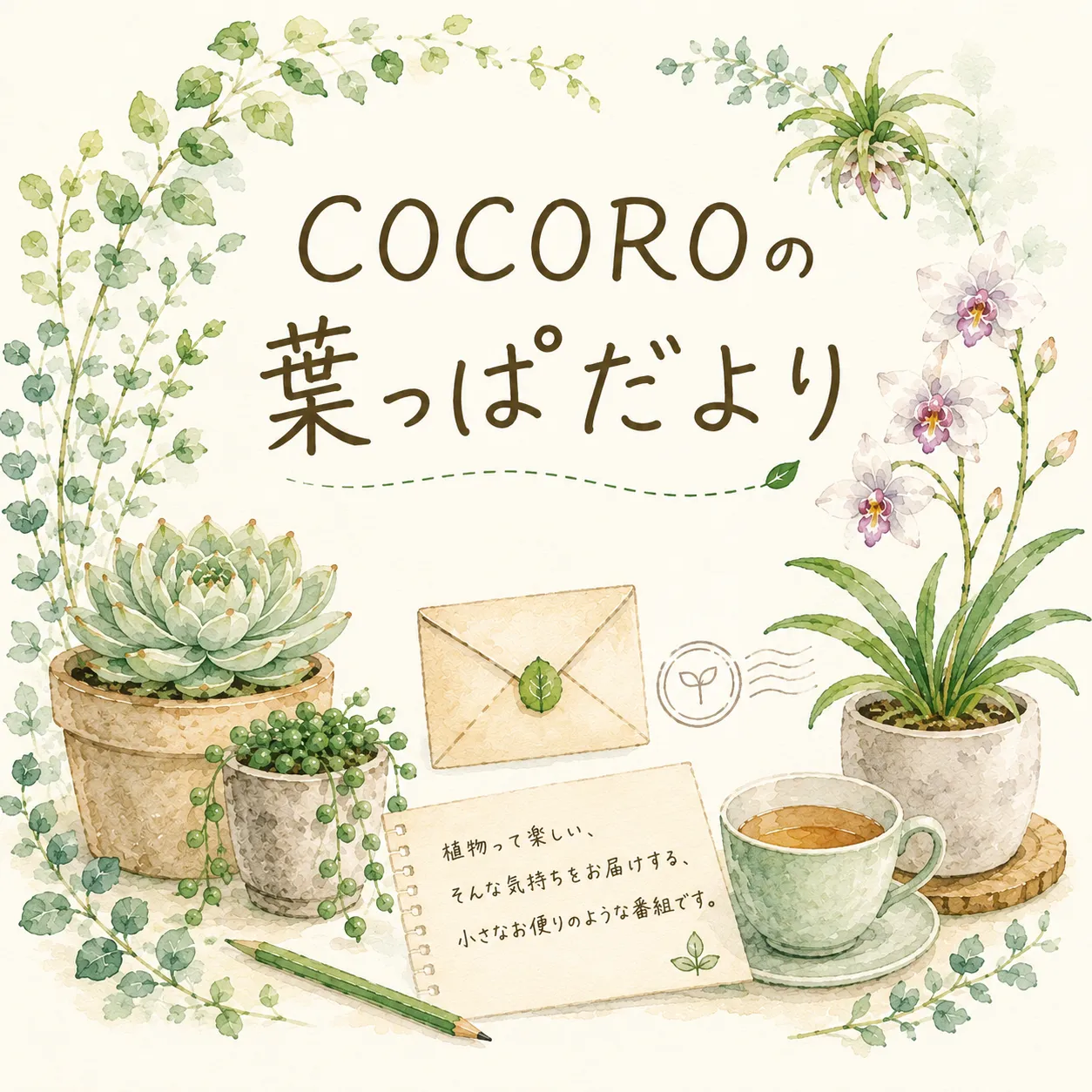 COCOROの葉っぱだより 更新しました。